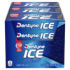 Dentyne Ice Sugar Free Gum, Peppermint, 16 Pieces, 12 ct