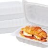 120 Pack 9"x6" Hinged To Go Food Containers, Clamshell Take Out Food Containers with Lids, Disposable Plastic