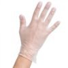 Powder-Free Vinyl Gloves, Large - 1 case (1000 piece)